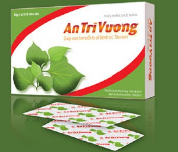  An Trĩ Vương