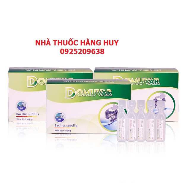 Domuvar__1___1572517542_921