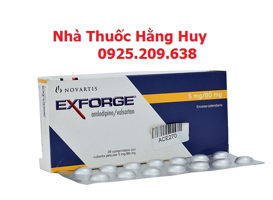 Exfore_5_80__1564307793_572