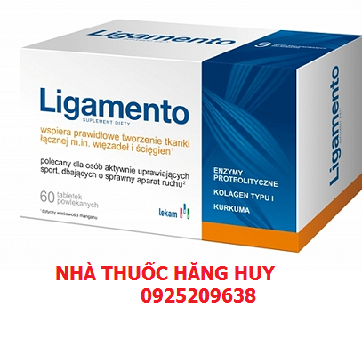 Ligamento_60v__1570153704_715
