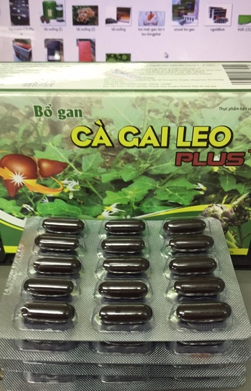 ca_gai_leo__1546184512_714