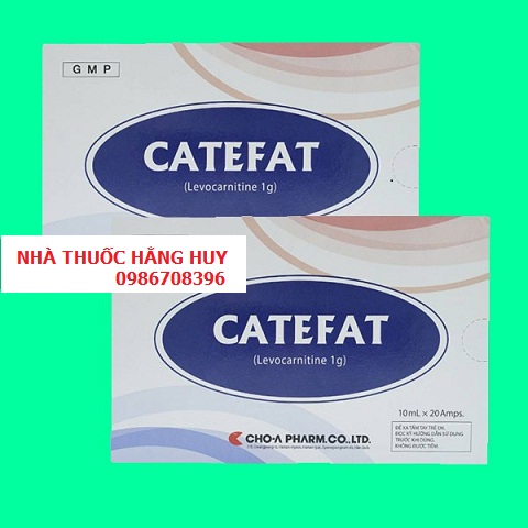 catefat_1G__1593526125_467