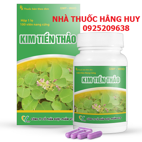 kim_tien_thao_VCP_60V__1575866926_22