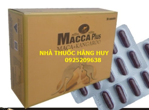 macca_plus__1572085677_761