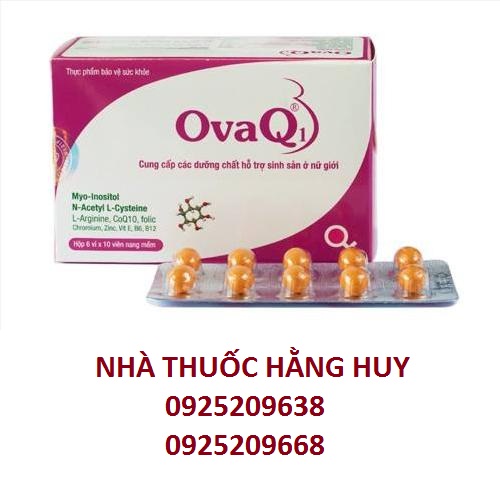 ovaQ1_chinh_hang__1617084767_959