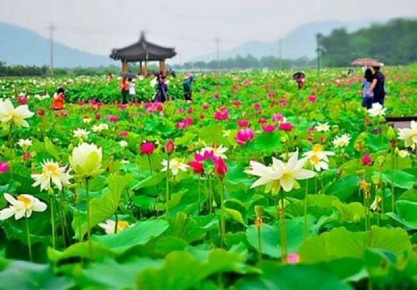 DANH SÁCH BỆNH VIỆN TẠI ĐỒNG THÁP