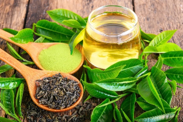 Thói quen uống trà có tốt không ? Chất catechin trong Trà với cơ thể người ?